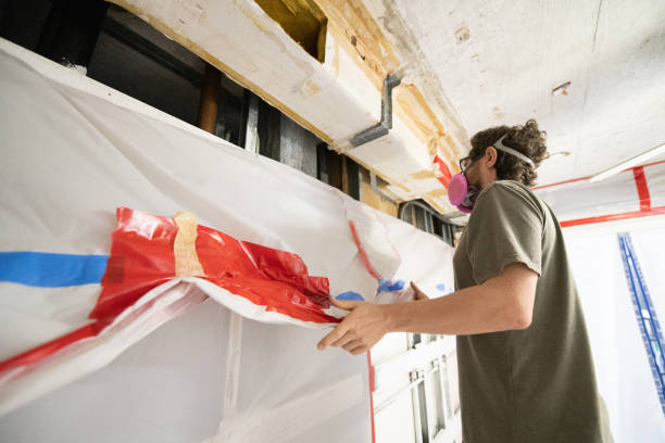 Professional Mold Removal in Mount Zion, GA