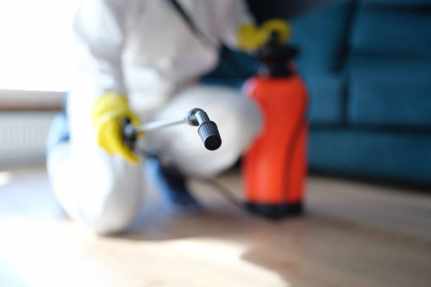 Dehumidification Services in Mount Zion, GA