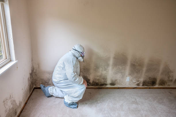 Mold Remediation for Vacation Homes in Mount Zion, GA